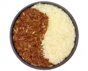 Bowl of brown and white rice