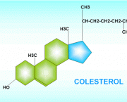 colesterol-01