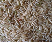 diferencas-entre-arroz-branco-e-integral-12