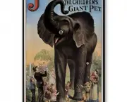 jumbo-o-elefante-2