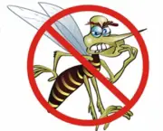 a-dengue-mata-e-quais-sao-os-tipos-de-dengue-1