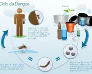 a-dengue-mata-e-quais-sao-os-tipos-de-dengue-6
