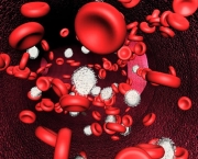 anemia-2