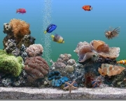 aquarios-diferentes-para-peixes-7
