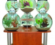 aquarios-diferentes-para-peixes-8