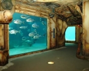 aquario-usaka-marine-world-2.jpg