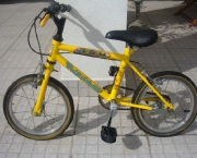 Bicicleta Infantil 10