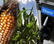 etanol-e-biodiesel-7