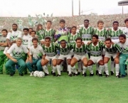 brasileirao-93-14