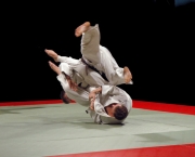 brazilian-jiu-jitsu-luta-brasileira-1