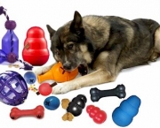 Brinquedos Inteligentes para Cachorros (3)