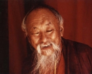 Budista Tibetano (6)