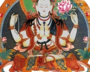 Budista Tibetano (8)