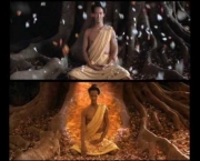 Budista Tibetano (10)