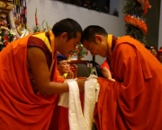 Budista Tibetano (11)