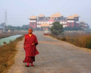 Budista Tibetano (13)