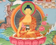 Budista Tibetano (16)