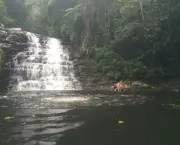 Cachoeira do Jajá - Morretes – PR (4)