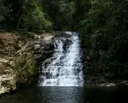Cachoeira do Jajá - Morretes – PR (5)