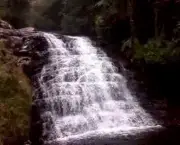 Cachoeira do Jajá - Morretes – PR (7)