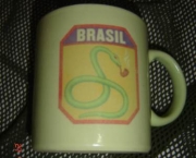 caneca-do-brasil-10