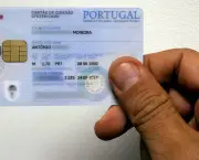 Características Físicas dos Portugueses (4)