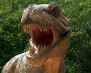 Comportamento do Tiranossauro Rex (1).jpg