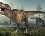 Comportamento do Tiranossauro Rex (2).jpg