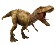 Comportamento do Tiranossauro Rex (6).jpg