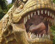 Comportamento do Tiranossauro Rex (7).jpg