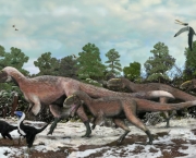 Comportamento do Tiranossauro Rex (8).jpg