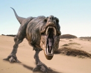 Comportamento do Tiranossauro Rex (10).jpg