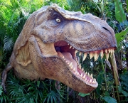 Comportamento do Tiranossauro Rex (12).jpg