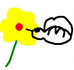 desenho-de-beija-flor-8