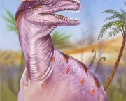dinossauros-carnivoros-4