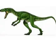 dinossauros-carnivoros-8
