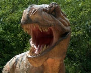 dinossauros-carnivoros-9