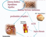 doencas-do-sistema-nervoso-22