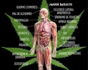 Doencas Tratadas Com Cannabis (15)