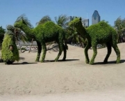 camelos.jpg