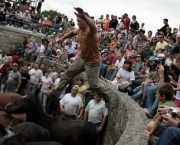 festival-de-cavalos-espanhol-1.jpg