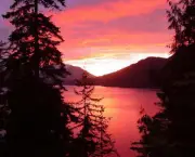Forks Lake Crescent Sunset