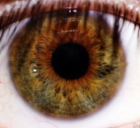 olhos-humanos-1.jpg