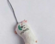 Mouse Logitech
