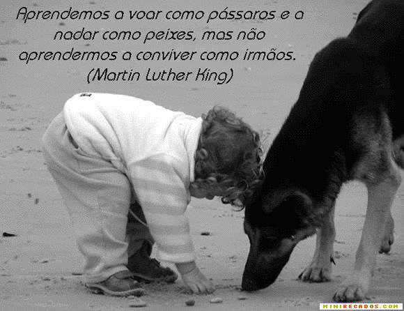 frases de amor bonitas. Frases Bonitas - Amor e Amigos