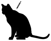 vacina-gato (1).jpg