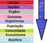 homeostase-biologica-4