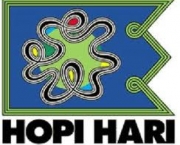 hopi-hari-promocao-diversao-com-economia-8