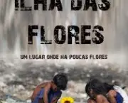 ilhas-das-flores-14