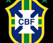 jogos-do-brasileirao-botafogo-x-goias-1